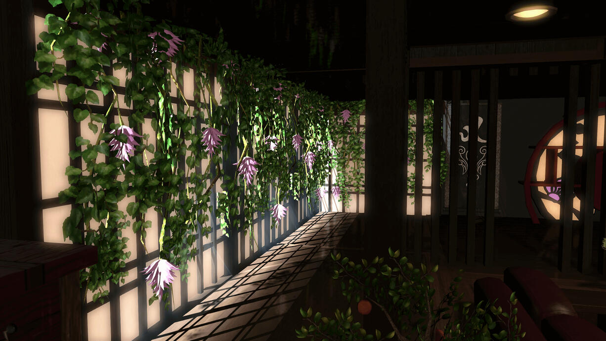 Beautiful light during the afternoon